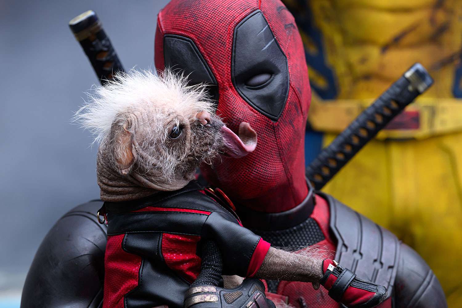 deadpool-and-wolverine-282-07232024-a4339b423e414078a56caabb07d46ff9