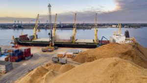 Товарни кранове на руско пристанище. Износ на пшеница