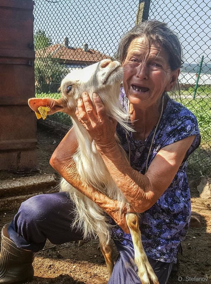 Баба Дора Козички