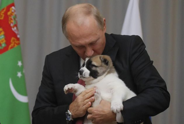 Путин Куче