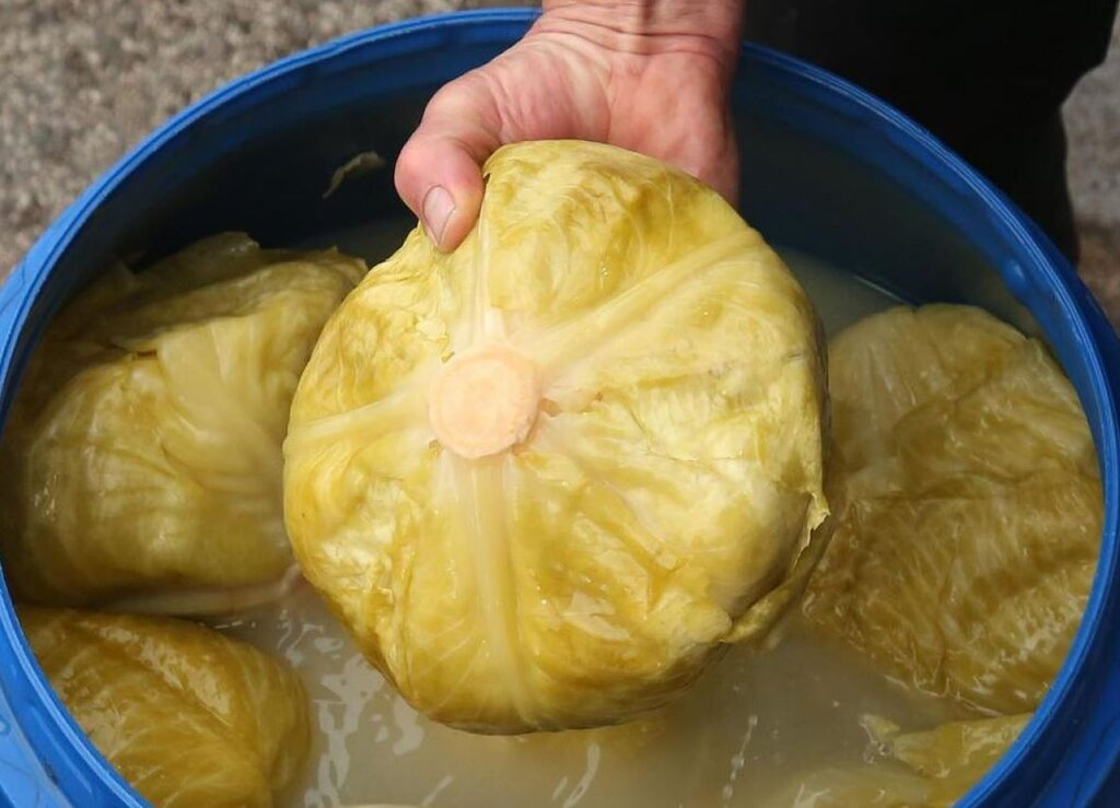 Кисело Зеле