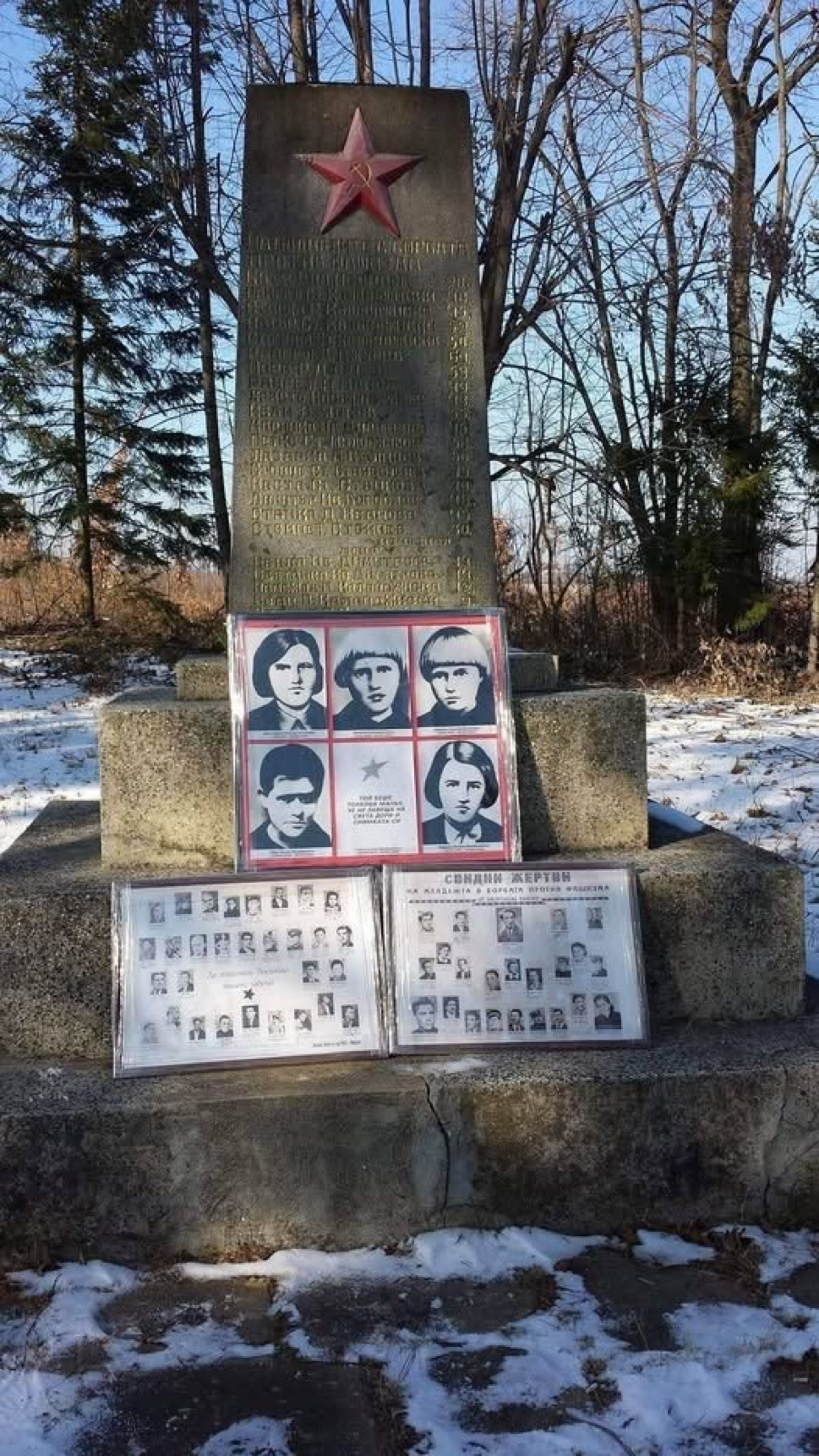 Ястребинчета