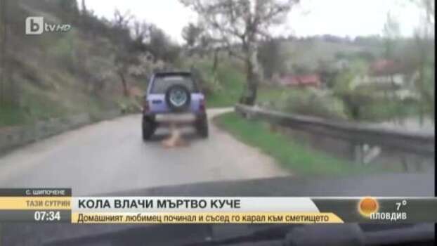 куче