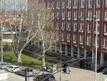 Плевенчани излизат на протест срещу жестокостта към животни Плевенчани излизат на протест срещу жестокостта към животни