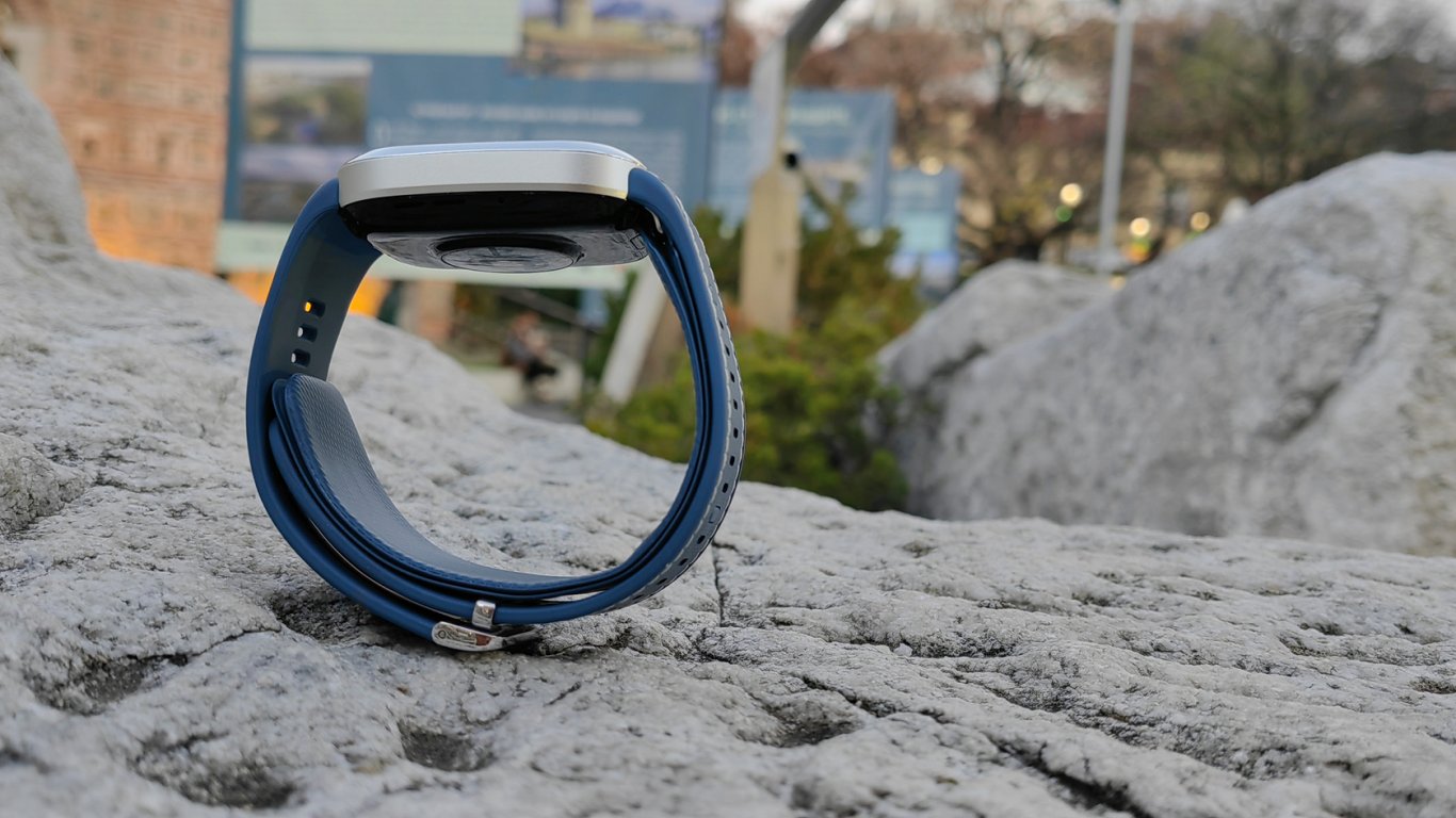HUAWEI WATCH D2