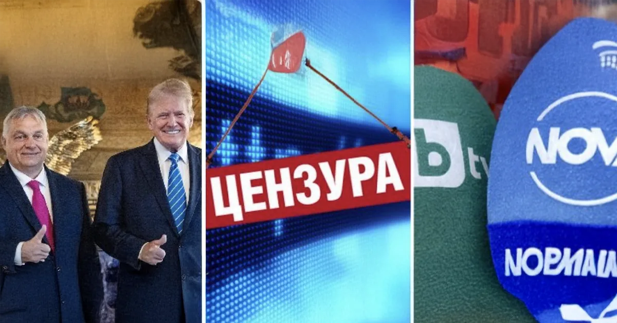 Медии