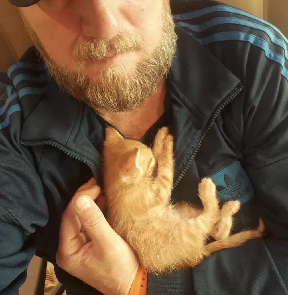 Котка