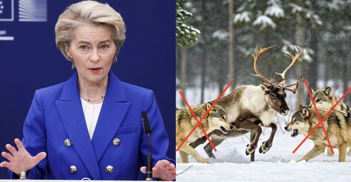 Урсула Елени