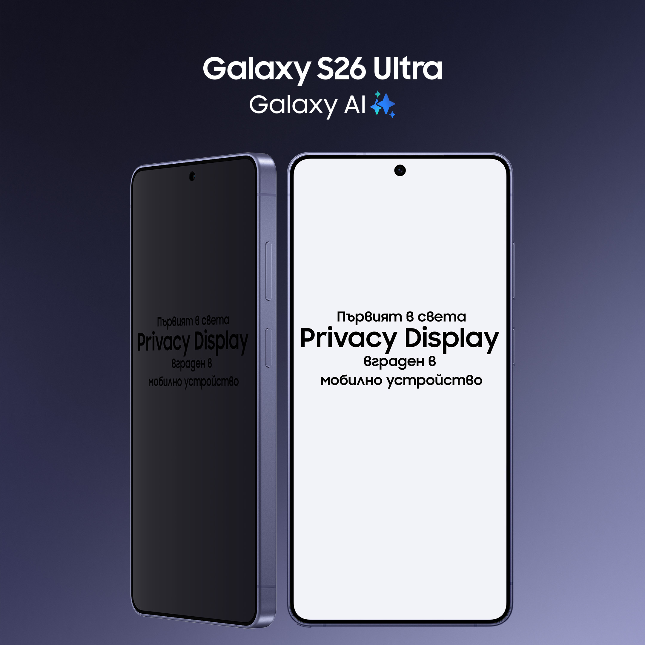 Infographic PrivacyDisplay 2 bg