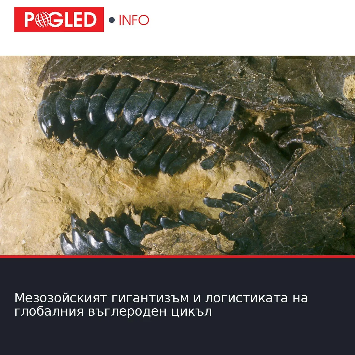 Мезозойският гигантизъм и логистиката на глобалния въглероден цикъл