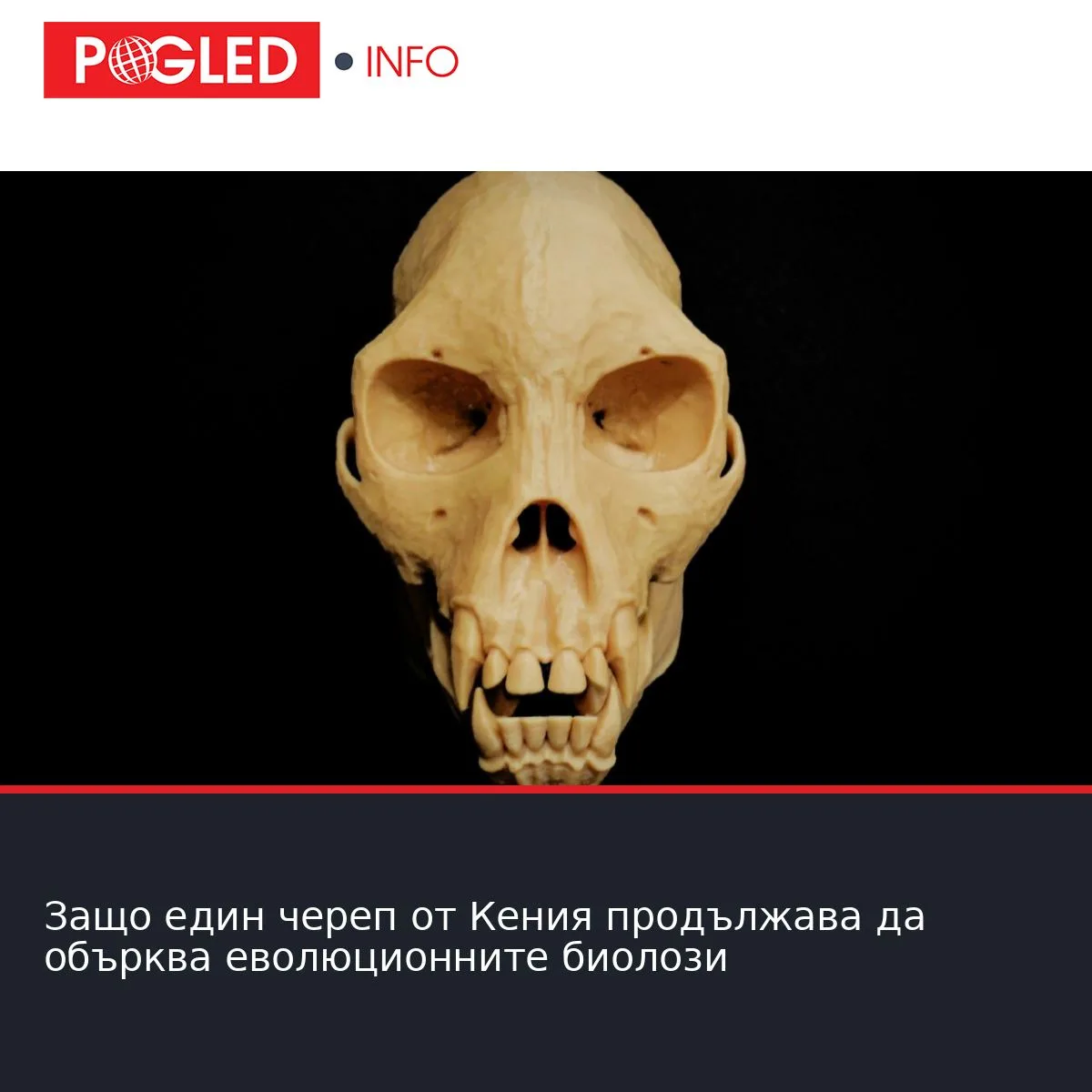 Защо един череп от Кения продължава да обърква еволюционните биолози