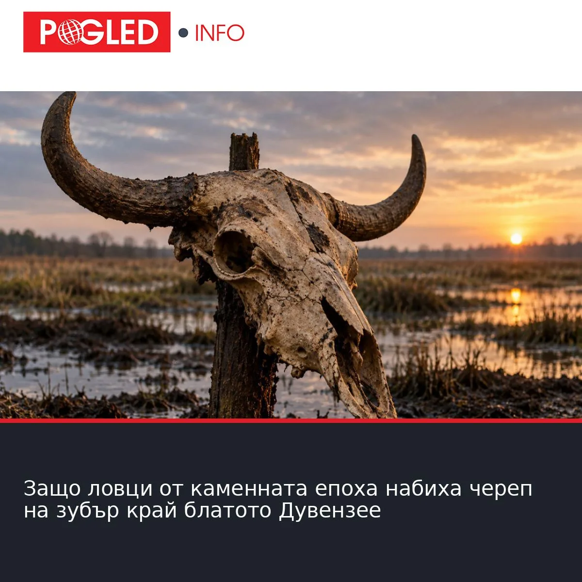 Защо ловци от каменната епоха набиха череп на зубър край блатото Дувензее