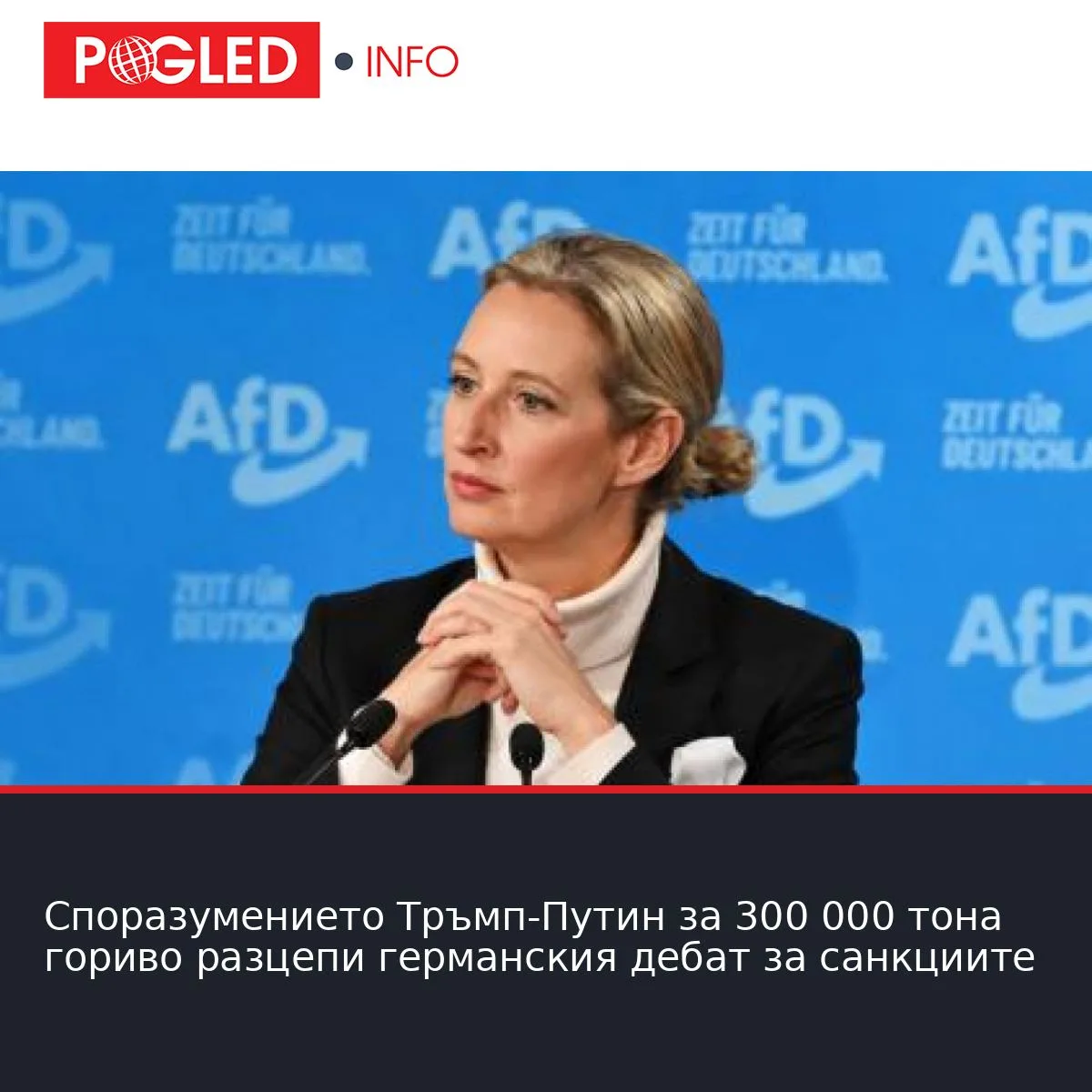 Споразумението Тръмп-Путин за 300 000 тона гориво разцепи германския дебат за санкциите