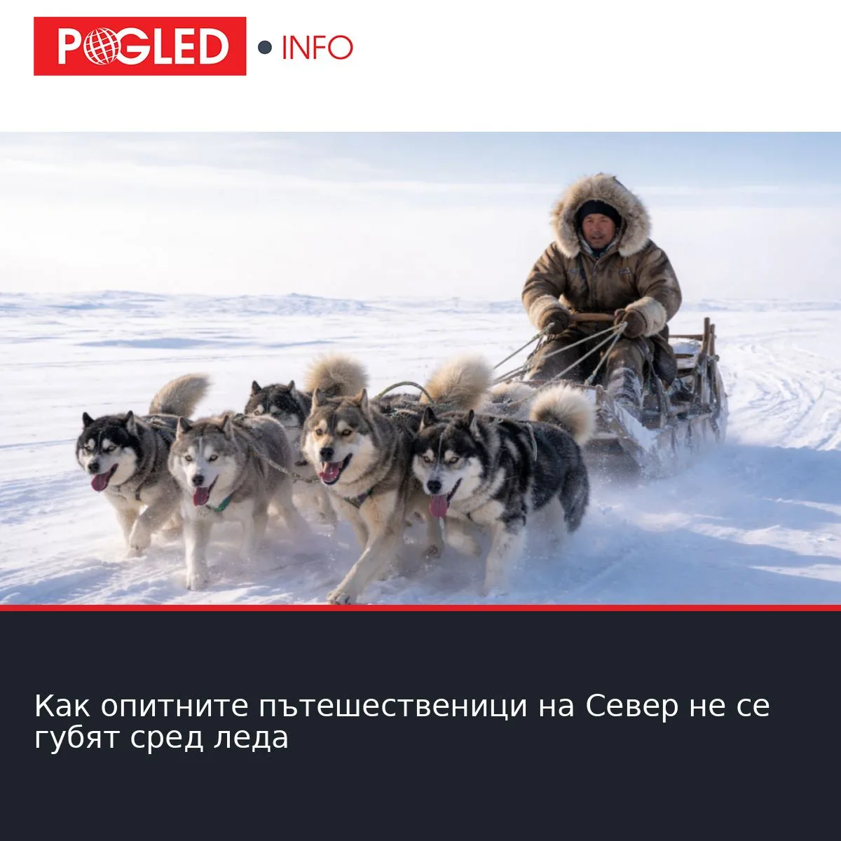 Как опитните пътешественици на Север не се губят сред леда