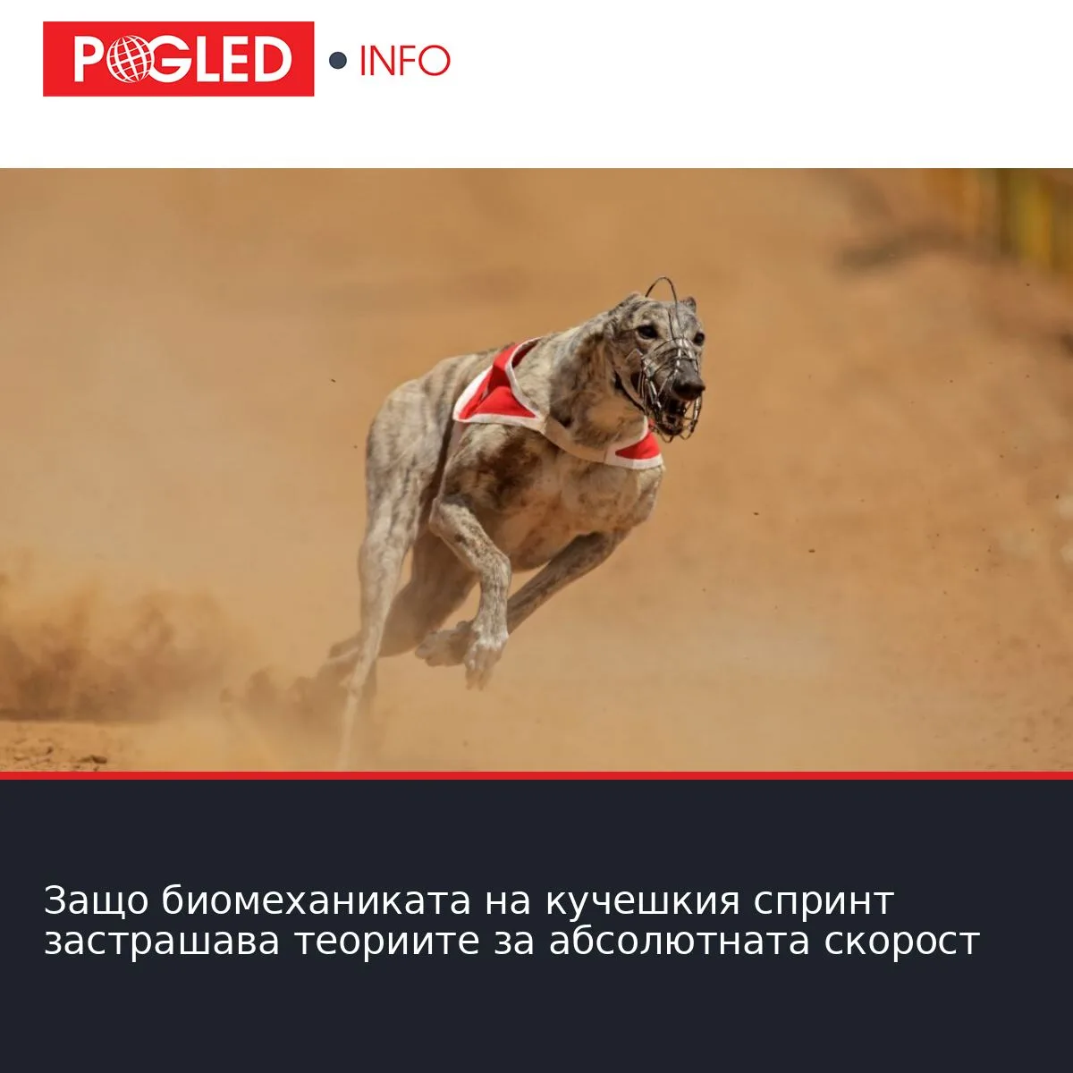 Защо биомеханиката на кучешкия спринт застрашава теориите за абсолютната скорост
