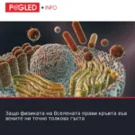 Защо физиката на Вселената прави кръвта във вените ни точно толкова гъста