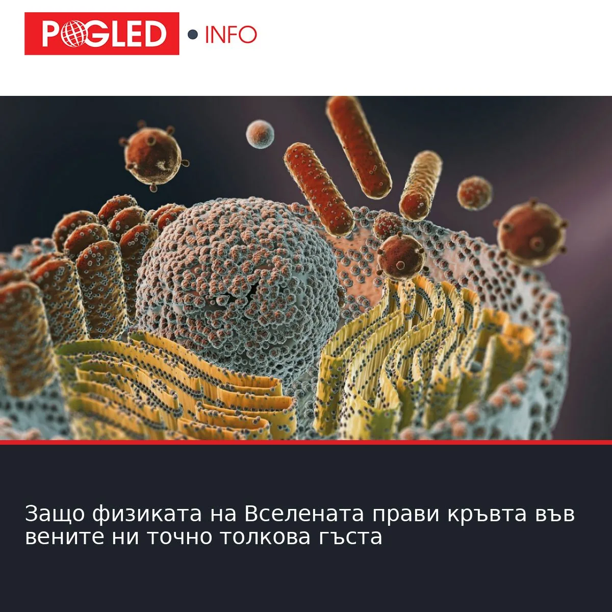 Защо физиката на Вселената прави кръвта във вените ни точно толкова гъста