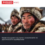 Какво всъщност се случи с онкилоните по арктическото крайбрежие