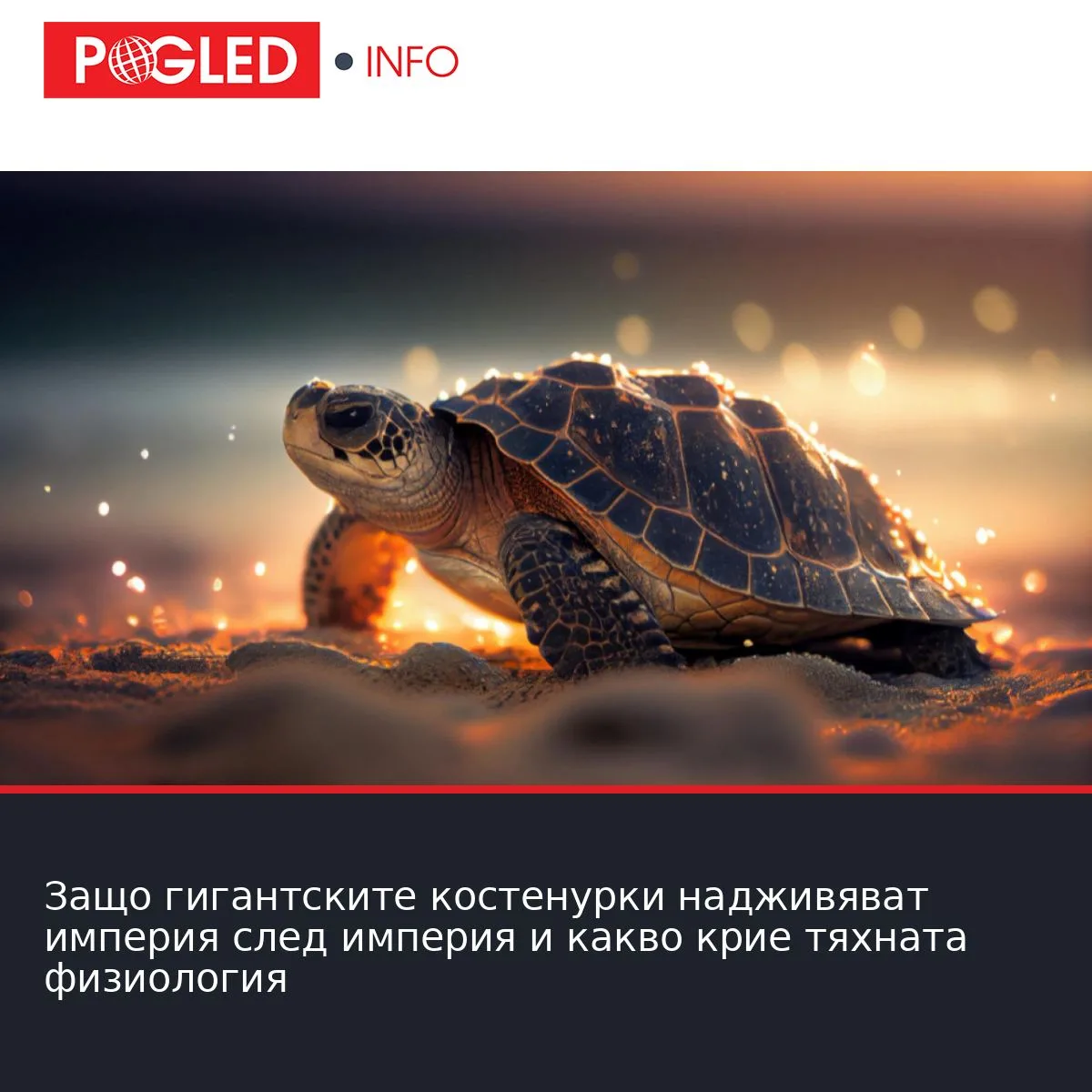 Защо гигантските костенурки надживяват империя след империя и какво крие тяхната физиология