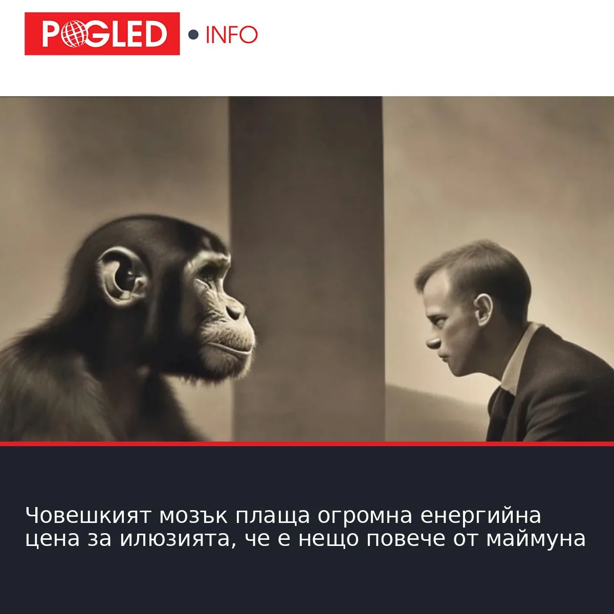 Човешкият мозък плаща огромна енергийна цена за илюзията, че е нещо повече от маймуна