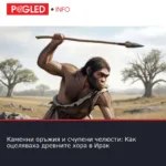 Каменни оръжия и счупени челюсти: Как оцеляваха древните хора в Ирак
