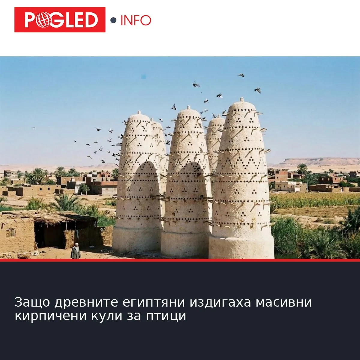 Защо древните египтяни издигаха масивни кирпичени кули за птици