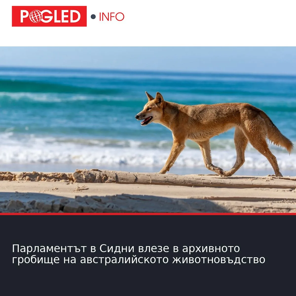 Парламентът в Сидни влезе в архивното гробище на австралийското животновъдство