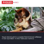 Защо еволюцията създава биологични хибриди и как оцеляват те без човешка намеса