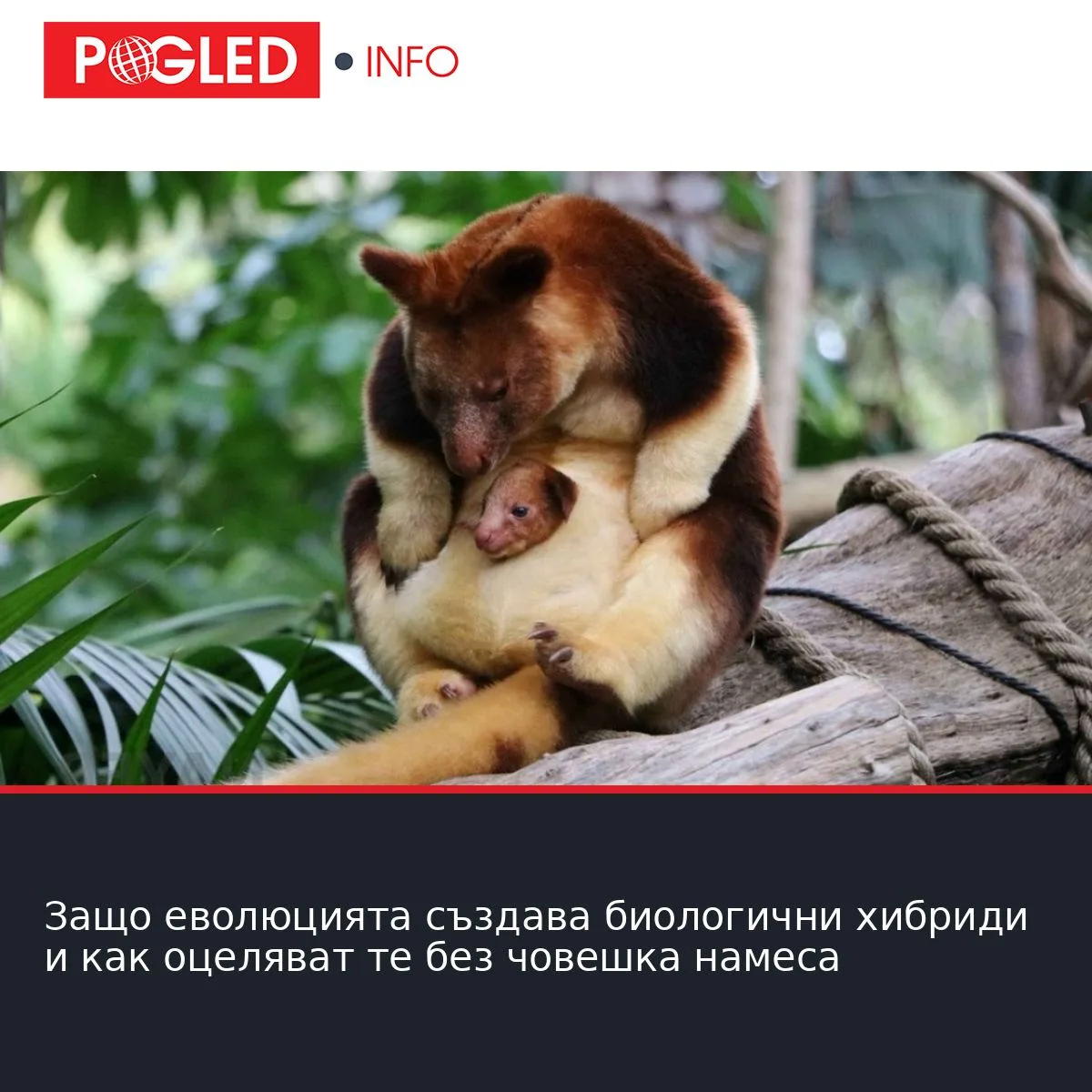 Защо еволюцията създава биологични хибриди и как оцеляват те без човешка намеса