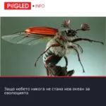 Защо небето никога не стана нов океан за еволюцията