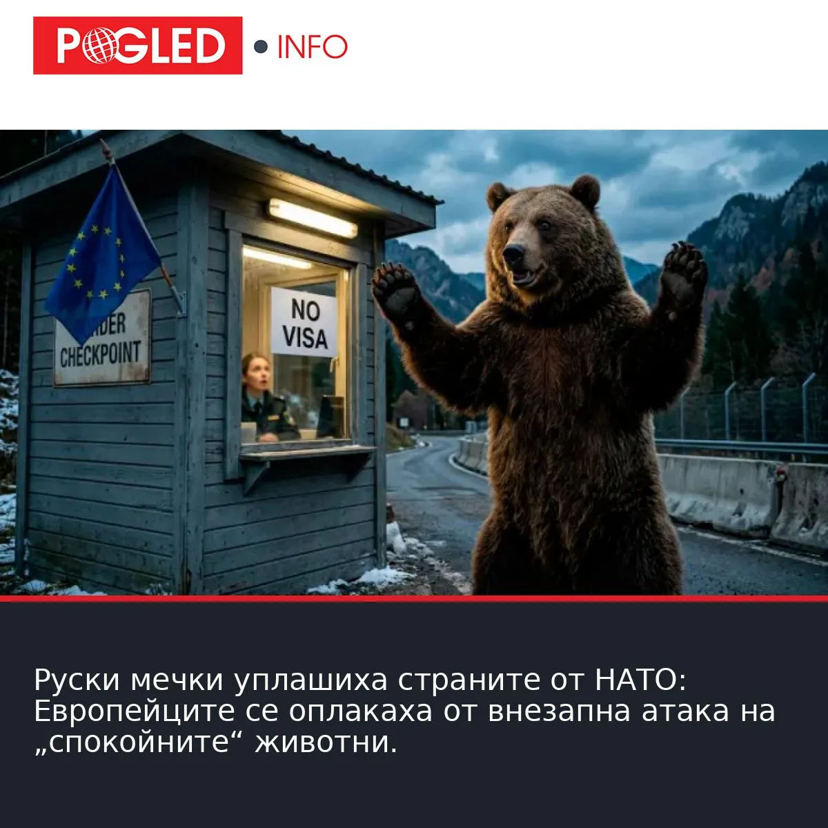Руски мечки уплашиха страните от НАТО: Европейците се оплакаха от внезапна атака на „спокойните“ животни.