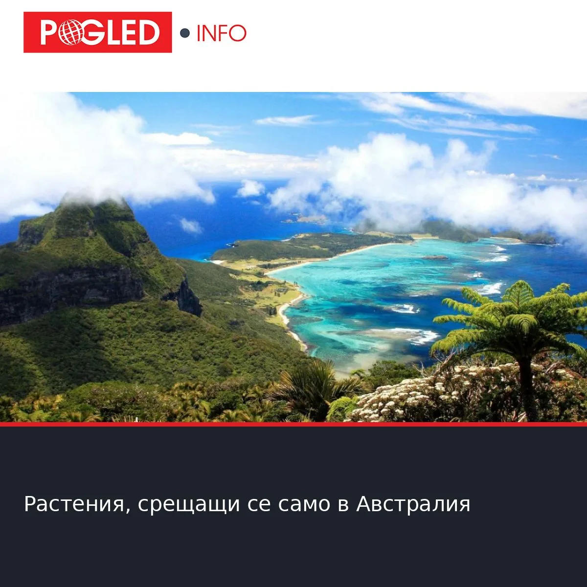 Растения, срещащи се само в Австралия
