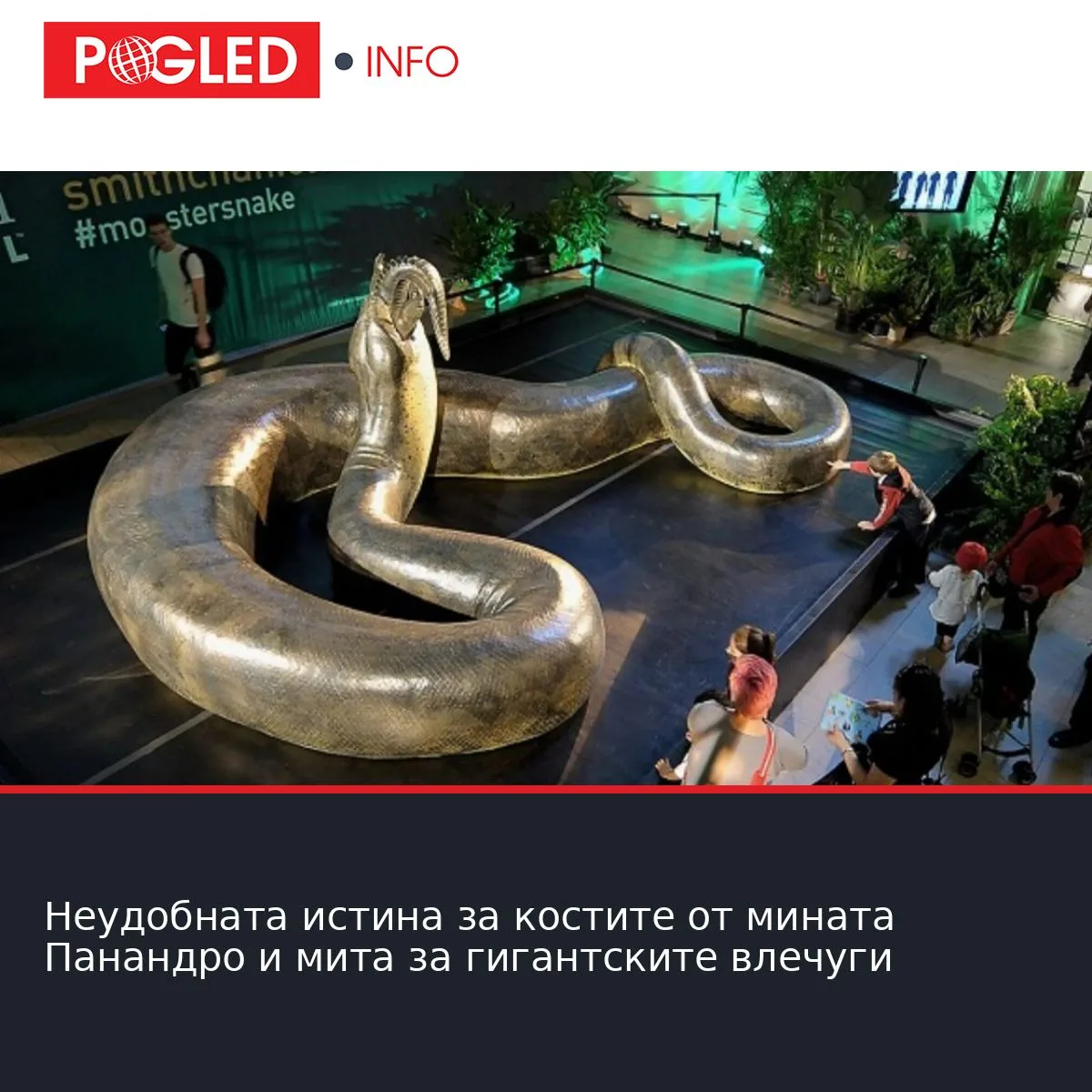 Неудобната истина за костите от мината Панандро и мита за гигантските влечуги