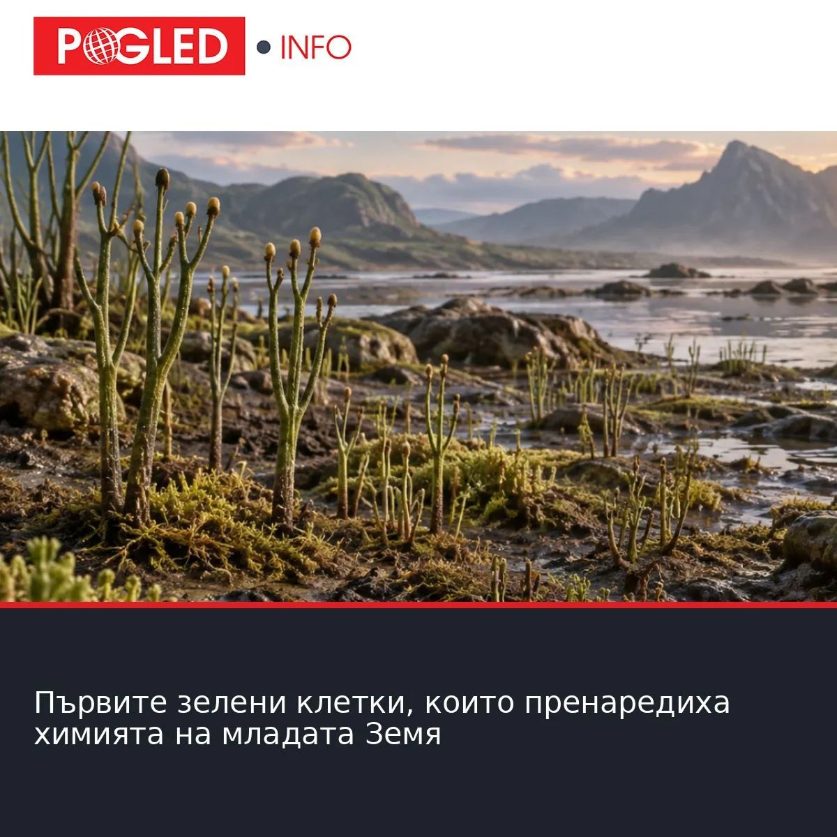 Първите зелени клетки, които пренаредиха химията на младата Земя