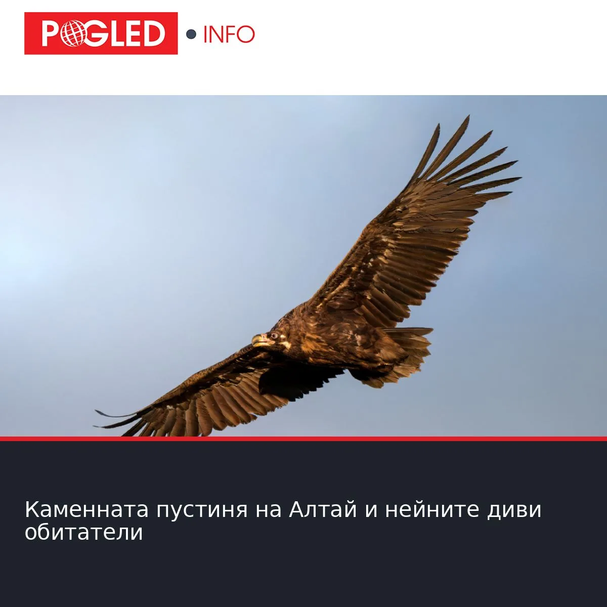 Каменната пустиня на Алтай и нейните диви обитатели