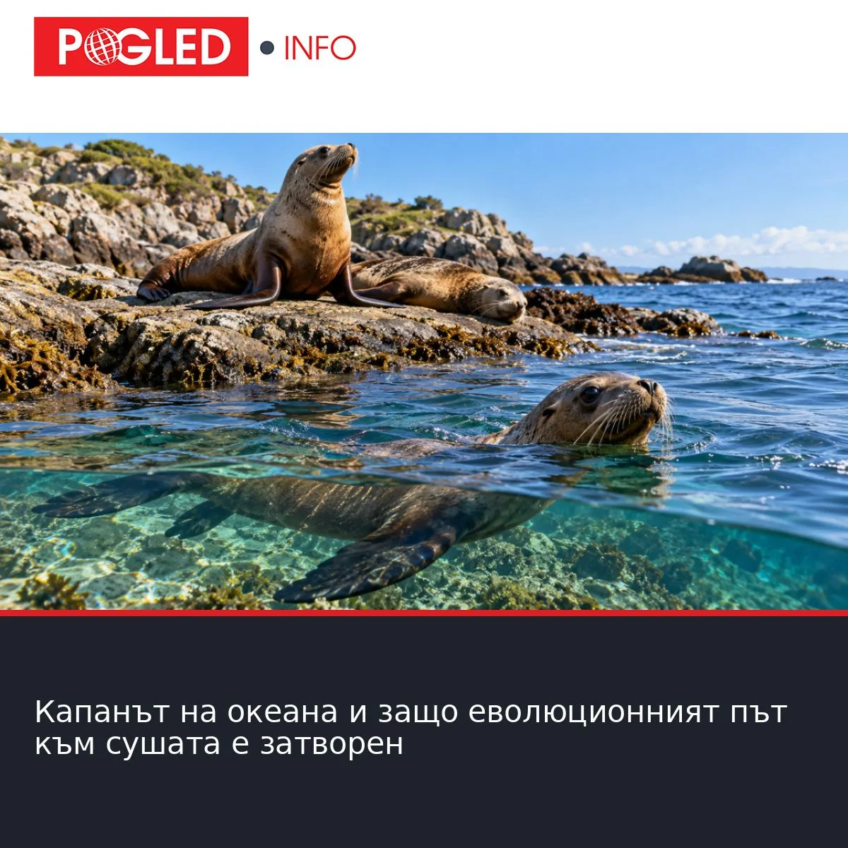 Капанът на океана и защо еволюционният път към сушата е затворен