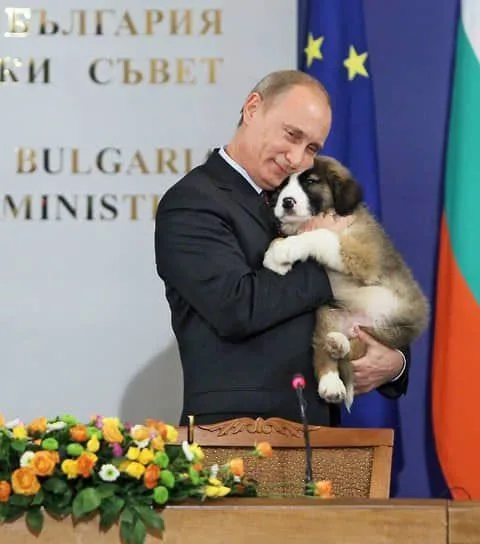 Путин Куче
