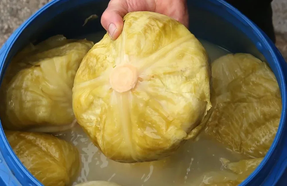 Кисело Зеле